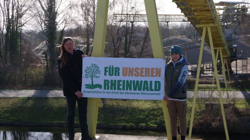 Ein Bürgerentscheid für den Rheinauenwald