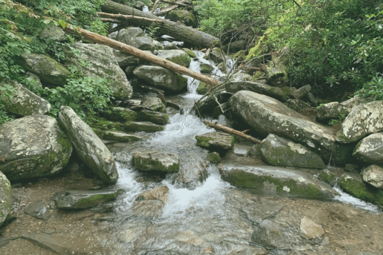 Geschützt: Wasser schützen