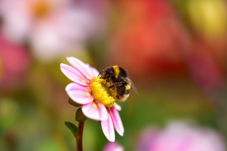 Volksbegehren: Kein Gift in Naturschutzgebieten